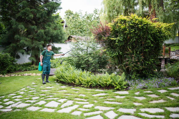 Best Pest Inspection Near Me  in Walnut, IL