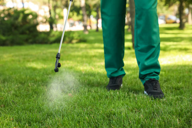 Reliable Walnut, IL Pest Control Solutions