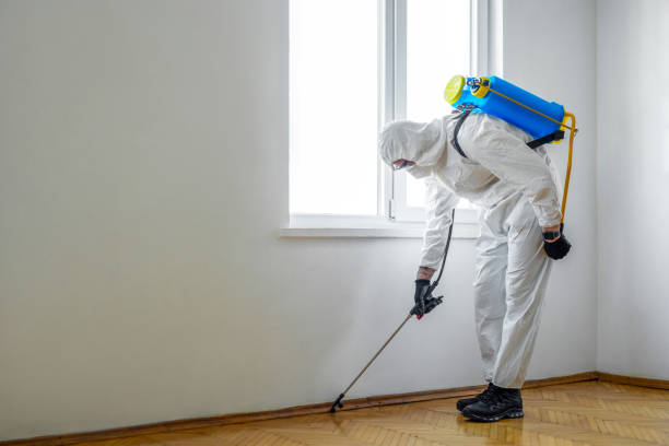 Best Cockroach Control Services  in Walnut, IL