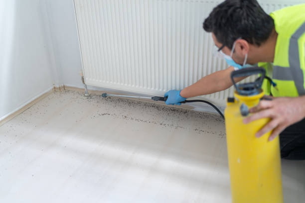 Best Insect Control  in Walnut, IL