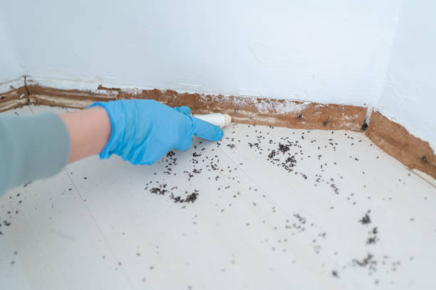 Pest Prevention Services in Walnut, IL